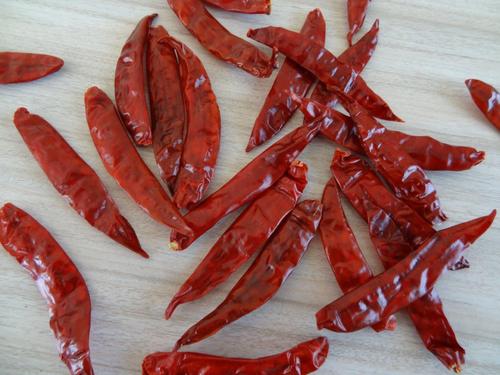 S4 Chili Exporter From India S4 Chili Exporter From India