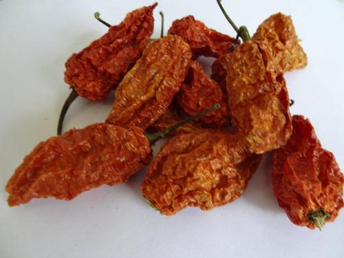 Ghost Pepper