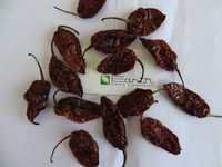 Red Smoked Dried Bhut Jolokia Chilli