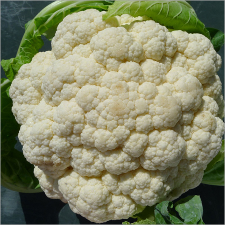 Hybrid Cauliflower