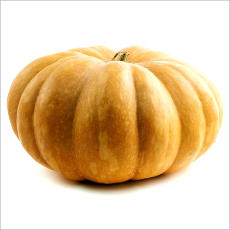 Hybrid Pumpkin