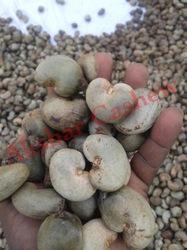 Raw Cashew