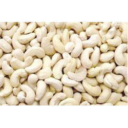 Cashew Nut
