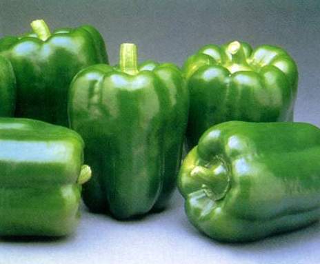 Hybrid Capcicum