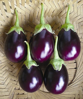 Hybrid Brinjal