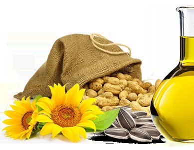 Oil Seeds Crops