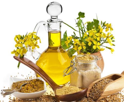 Hybrid Mustard