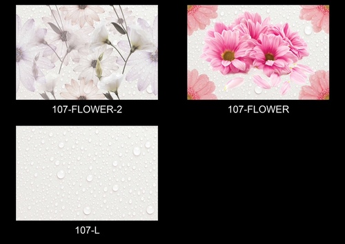 Digital Printed Wall Tiles
