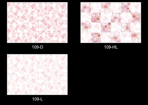 Digital Ceramic Wall Tiles
