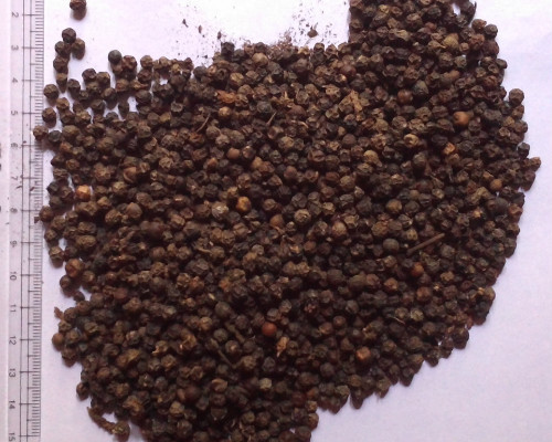 Black pepper