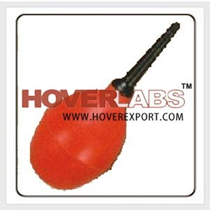 Dental Bulbs
