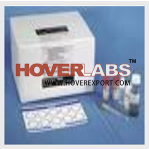 Rpr Test Kit