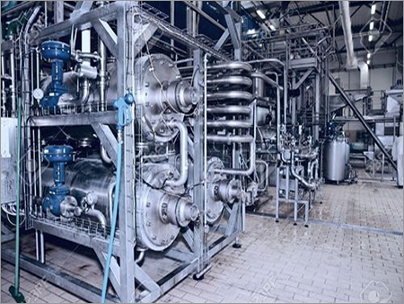 Fruits Processing Plant Services