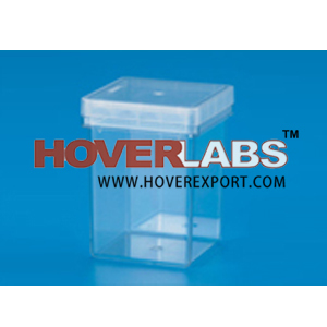 New Additional Items