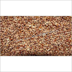 Bajra Seeds