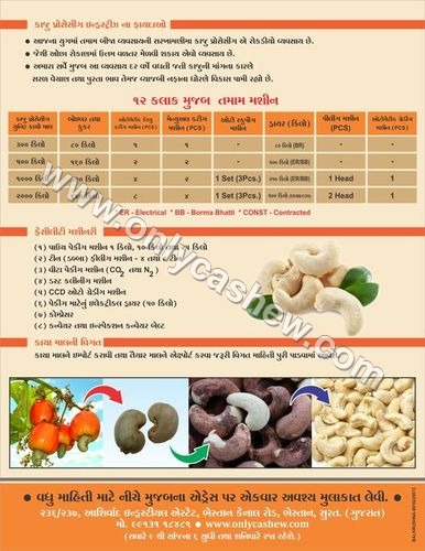 Benefit of Cashew processing business