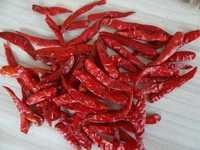 Dry Red Chilli From India