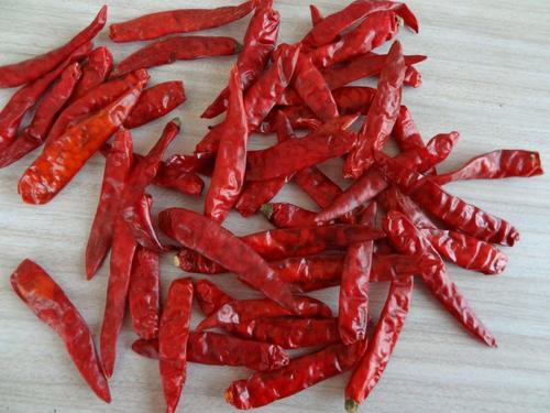 Dry Red S4 Chilli From India