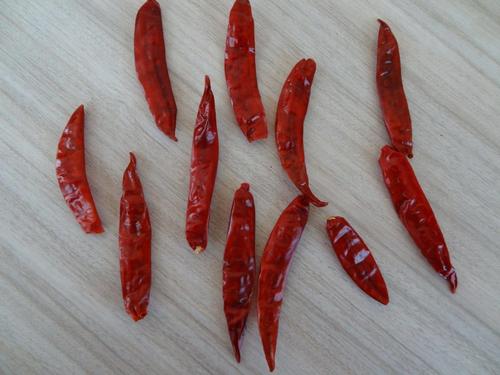 Indian S4 Chillies