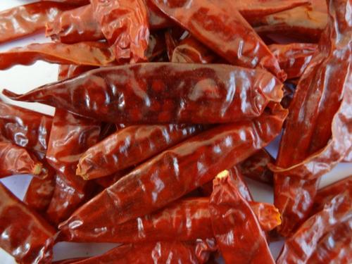 S4 Dry Red Chilli Manufacture S4 Dry Red Chilli Manufacture