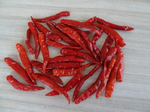 Dry Red S17 Chilli
