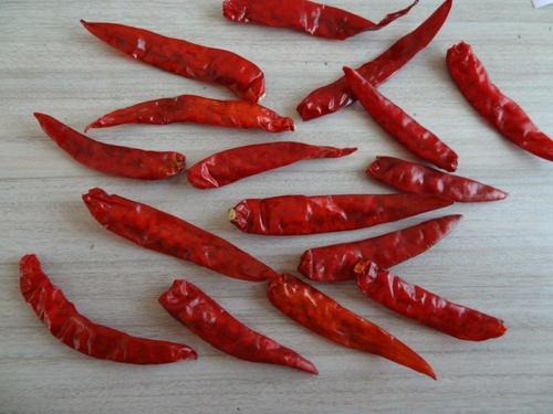 S17 Chili Manufacturer From India