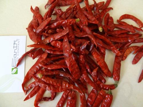 Dry Red Hot Pepper