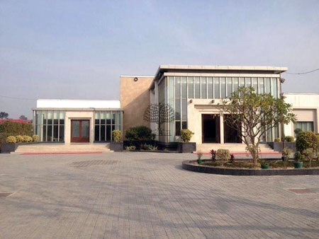 Calista Resort-DelhiArtificial Grass Installation