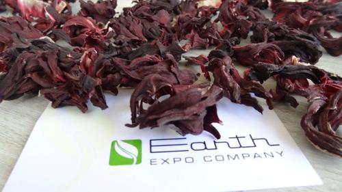 Dry Hibiscus Flower
