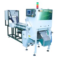 Cashew Nuts Color Sorter