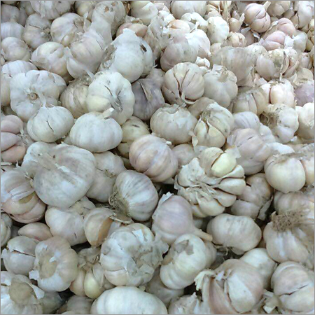 White Garlic
