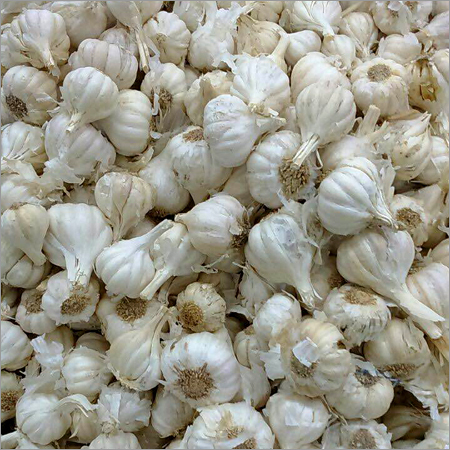 Pure White Garlic