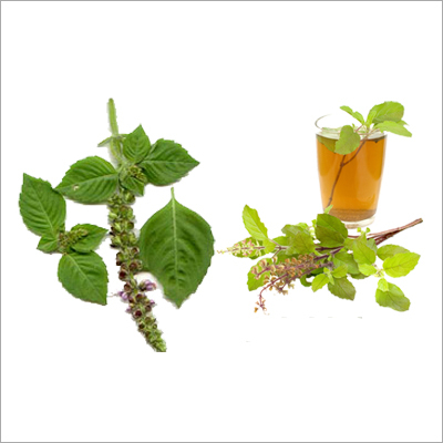 Tulsi Juice