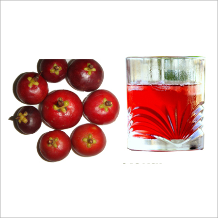 Kokum Juice