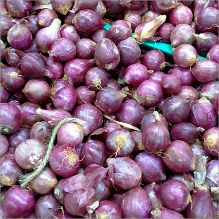 Indian Onion