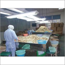Mushroom Processing Plant