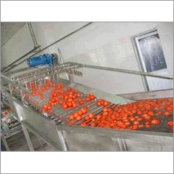 Tomato Processing Plant