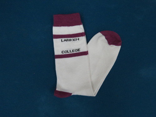 Children School Socks