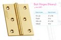 Brass Butt Hinges Heavy 3mm ( 1/8" ) 