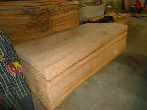 Water Gum Veneer