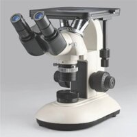 Binocular Inverted Microscope Application: Laboratory