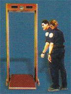 Kaiser Door Frame Metal Detector - Fixed Model