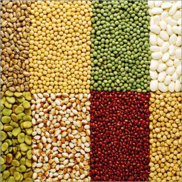 Organic Pulses
