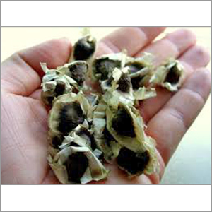 Drumstick seeds and Leaves