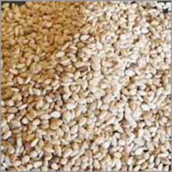Sesame Seeds