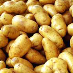 Potato - Brown, Oval Shape, Varied Size | Fresh, Nutritious, Versatile, High Yield, Easy to Grow, Firm Texture