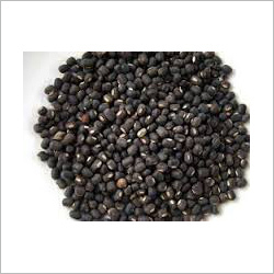 Black Lentil