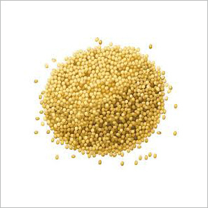Millet Grains