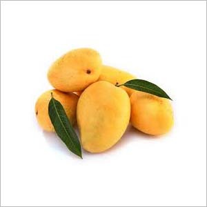 Mango Fruits