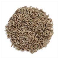 Cumin Seeds
